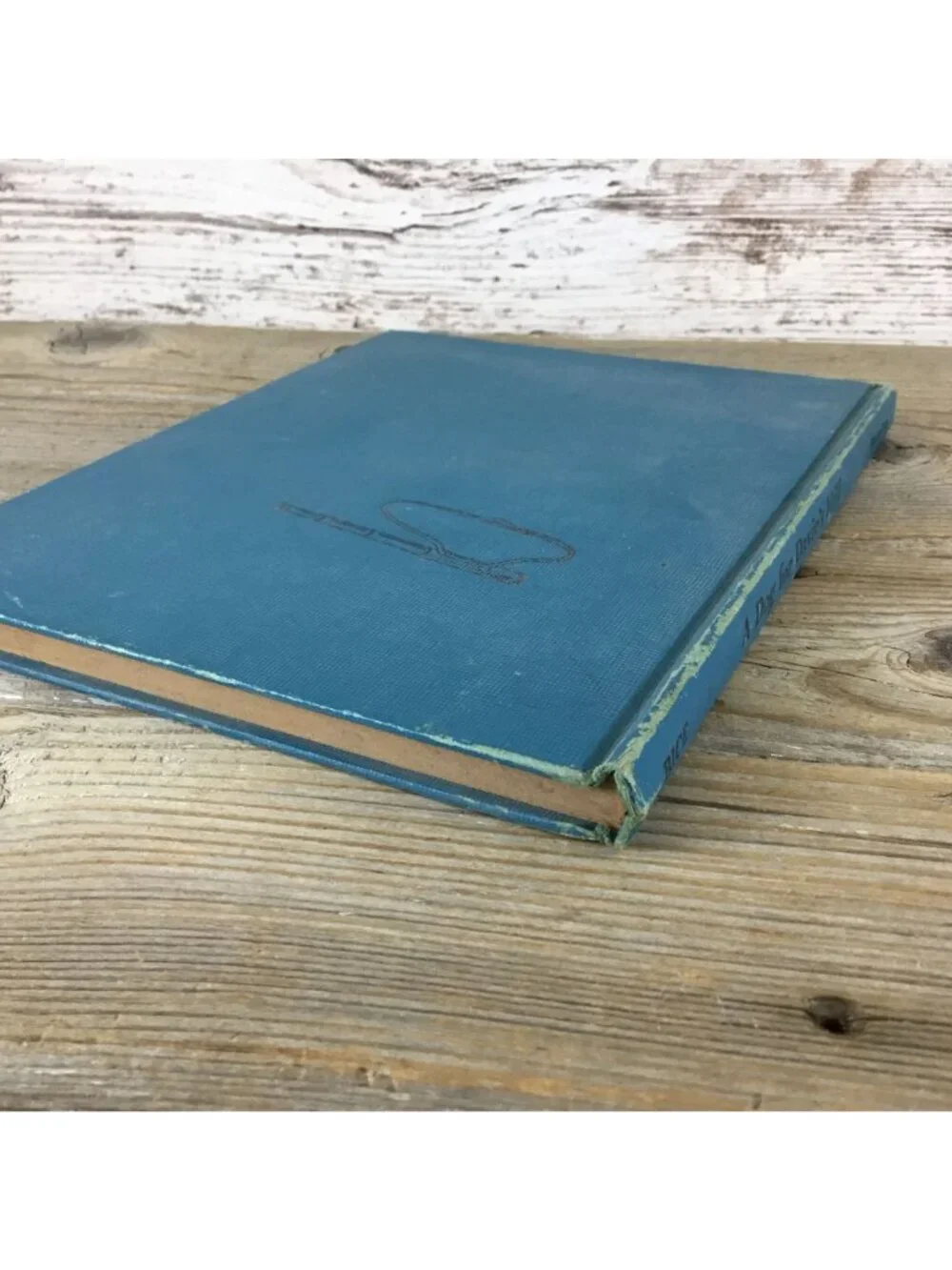 Vintage 1957 A Dog for Davie’s Hill by Clare Bice – Blue Hardcover